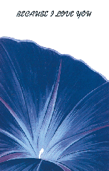 Product ID L1006