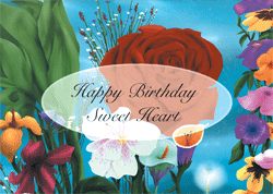 Product ID HBD004